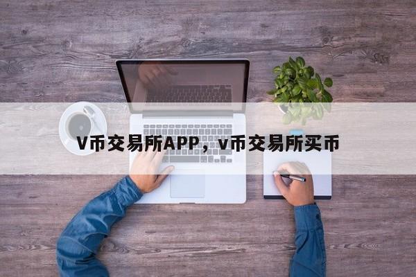 V币交易所APP，v币交易所买币