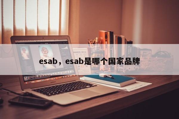 esab，esab是哪个国家品牌