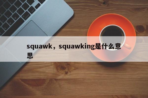 squawk，squawking是什么意思