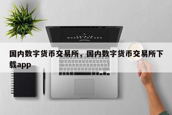 国内数字货币交易所，国内数字货币交易所下载app