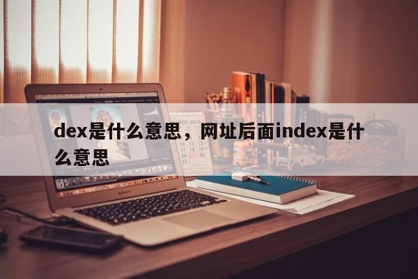 dex是什么意思，网址后面index是什么意思