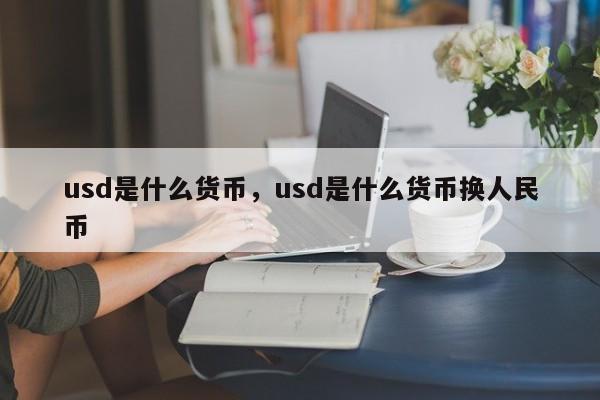 usd是什么货币，usd是什么货币换人民币