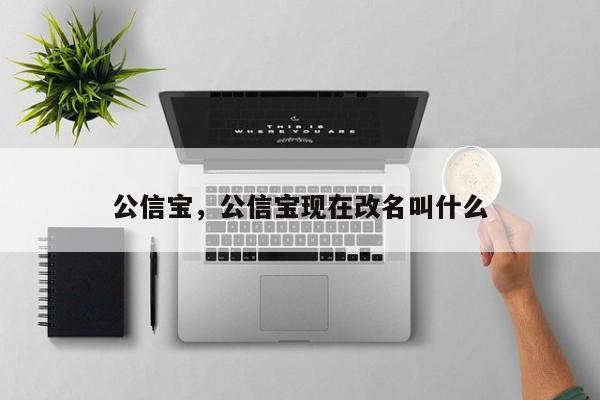 公信宝，公信宝现在改名叫什么