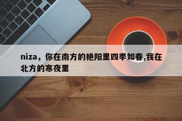 niza，你在南方的艳阳里四季如春,我在北方的寒夜里