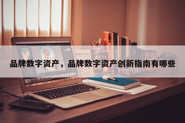 品牌数字资产，品牌数字资产创新指南有哪些