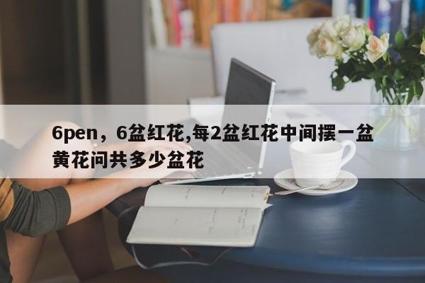 6pen，6盆红花,每2盆红花中间摆一盆黄花问共多少盆花