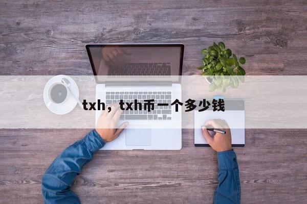 txh，txh币一个多少钱