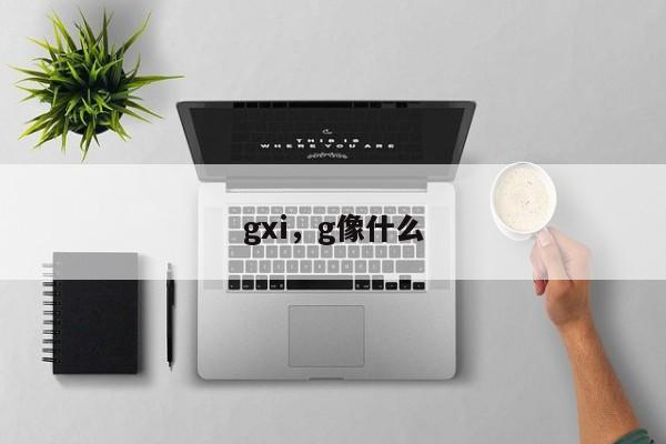 gxi，g像什么