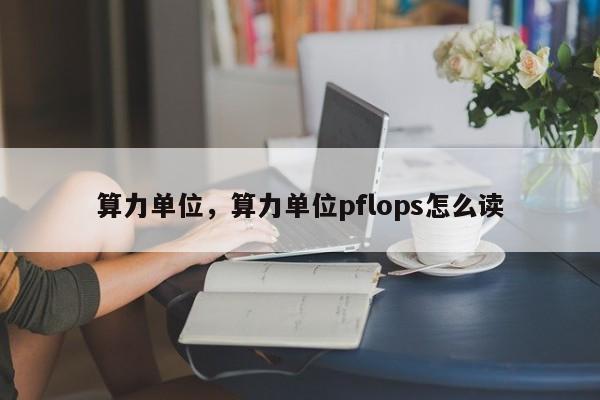 算力单位，算力单位pflops怎么读