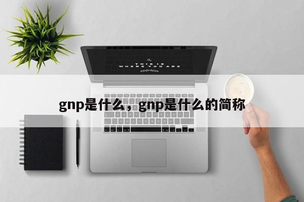 gnp是什么,gnp是什么的简称