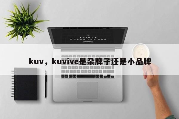 kuv，kuvive是杂牌子还是小品牌