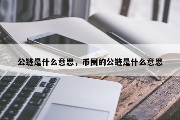 公链是什么意思，币圈的公链是什么意思