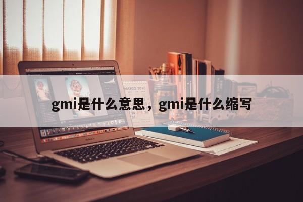 gmi是什么意思，gmi是什么缩写