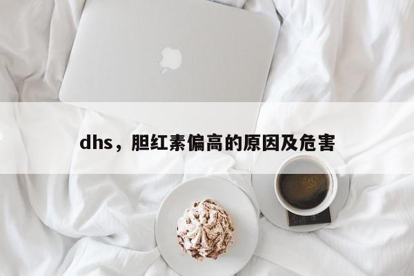 dhs，胆红素偏高的原因及危害