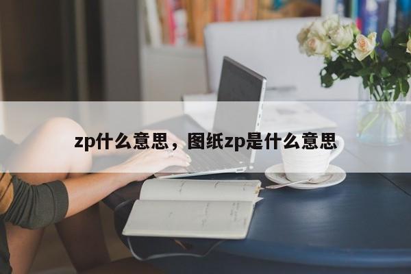 zp什么意思，图纸zp是什么意思