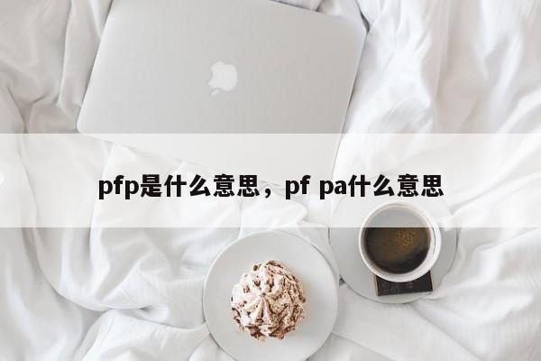 pfp是什么意思，pf pa什么意思