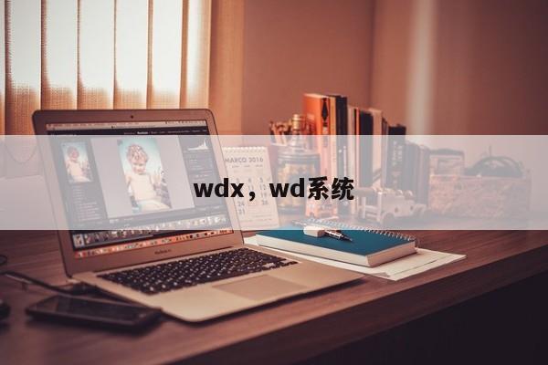 wdx，wd系统