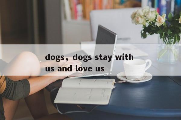 dogs，dogs stay with us and love us