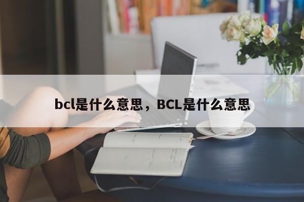 bcl是什么意思，BCL是什么意思