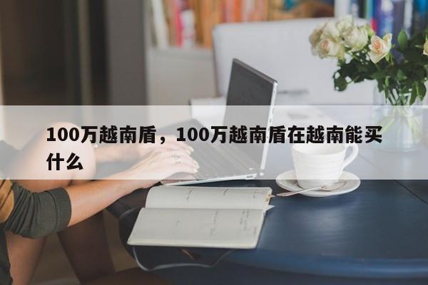 100万越南盾，100万越南盾在越南能买什么